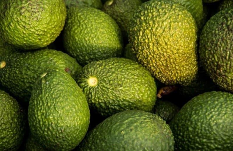 máquina de clasificación de aguacate